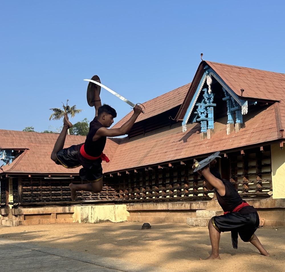 Preservation & Global Promotion